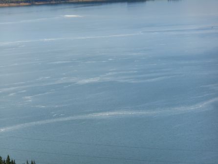 Ciudadanos muestra su preocupación por el aumento de espuma en el pantano de Bárcena Ciudadanos muestra su preocupación por el aumento de espuma en el pantano de Bárcena