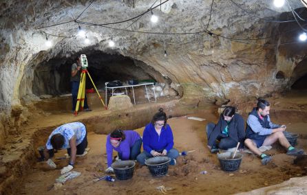 Yacimientos arqueológicos: Ojo Guareña arroja un diente infantil de Neandertal Yacimientos arqueológicos: Ojo Guareña arroja un diente infantil de Neandertal