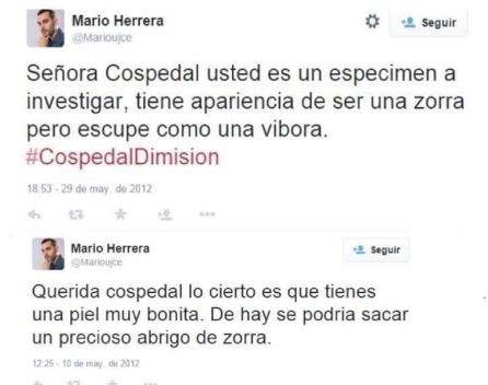 Los polémicos tuits de Mario Herrera, director general de Podemos Los polémicos tuits de Mario Herrera, director general de Podemos
