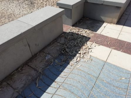 Suciedad en el paseo marítimo de la Playa Heliópolis de Benicàssim Suciedad en el paseo marítimo de la Playa Heliópolis de Benicàssim