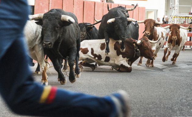 Guadalajara pide la declaración de los encierros como 'Fiesta de Interés Turístico Regional': Guadalajara pide la declaración de los encierros como 'Fiesta de Interés Turístico Regional' Guadalajara pide la declaración de los encierros como 'Fiesta de Interés Turístico Regional': Guadalajara pide la declaración de los encierros como 'Fiesta de Interés Turístico Regional'