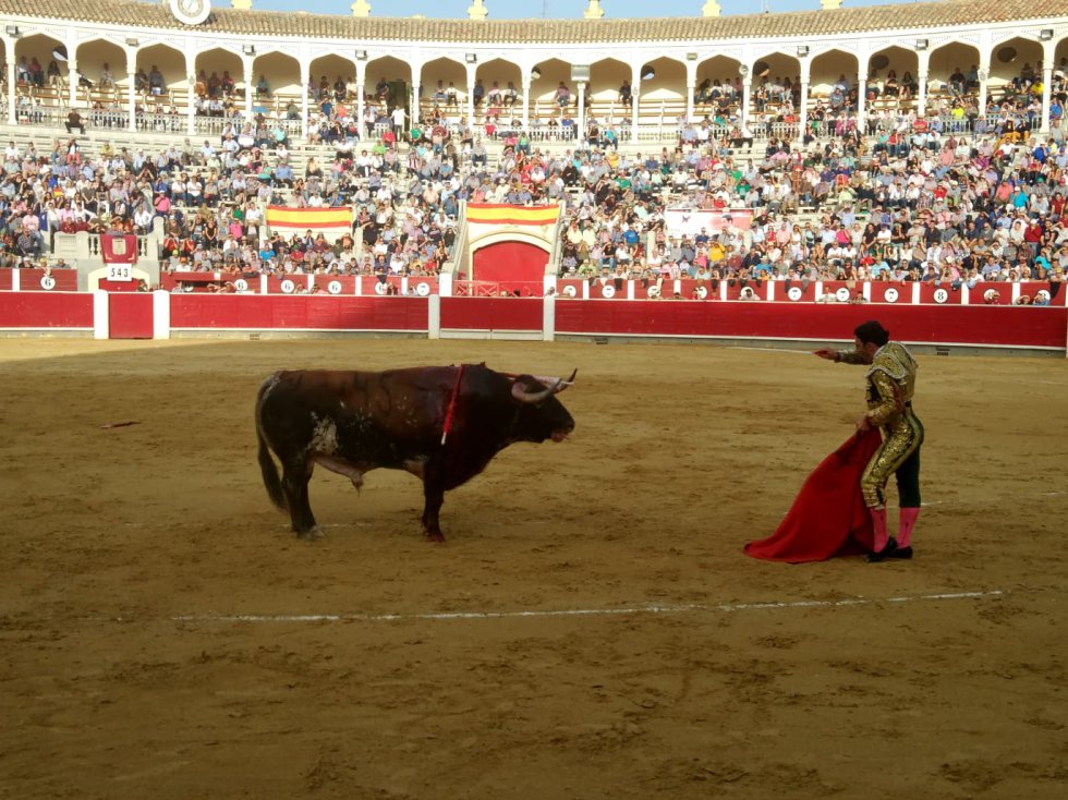 Las imágenes del festejo taurino de este domingo Las imágenes del festejo taurino de este domingo