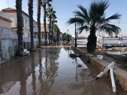 Los Alcázares: zona "menos uno" Los Alcázares: zona "menos uno"