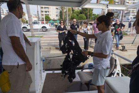 Barco de la ONG WWF en el puerto de Gandia. Barco de la ONG WWF en el puerto de Gandia.