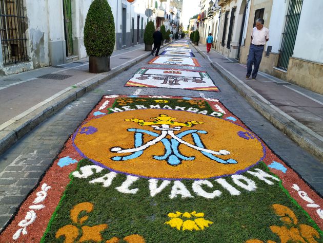 Alfombras realizadas por los jóvenes en la calle Merced Alfombras realizadas por los jóvenes en la calle Merced