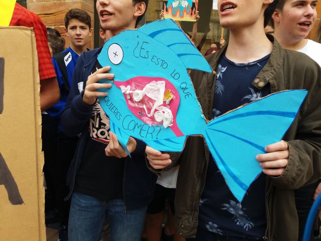 Manfiestantes de Fridays for a Future en OViedo Manfiestantes de Fridays for a Future en OViedo