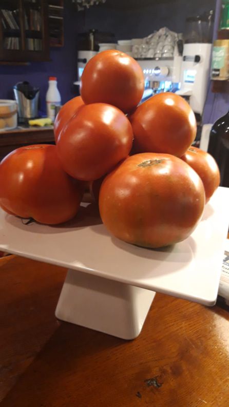 Los tomates de Jesús Mari Albizu y una receta de risotto Los tomates de Jesús Mari Albizu y una receta de risotto