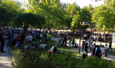 La Ribera del Duero estrena la vendimia a lo grande La Ribera del Duero estrena la vendimia a lo grande
