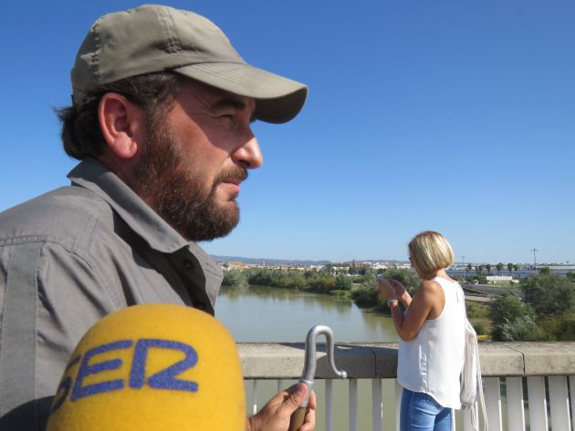 Felipe Molina, hijo, cruzando el Puente del Arenal en el recorrido con sus ovejas desde la campiña Felipe Molina, hijo, cruzando el Puente del Arenal en el recorrido con sus ovejas desde la campiña