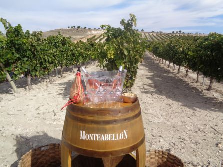La bodega engalanó sus viñas para recibir esta visita La bodega engalanó sus viñas para recibir esta visita