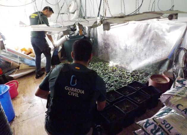 La Guardia Civil detiene en Cieza a un delincuente con armas blancas, de fuego y 200 plantas de marihuana La Guardia Civil detiene en Cieza a un delincuente con armas blancas, de fuego y 200 plantas de marihuana