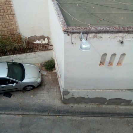 Los vecinos también solicitan la mejora del jardin deacceso a la calle Los vecinos también solicitan la mejora del jardin deacceso a la calle