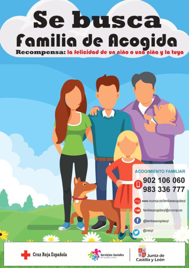 Noticias Ávila: 'Se busca familia de acogida' Noticias Ávila: 'Se busca familia de acogida'
