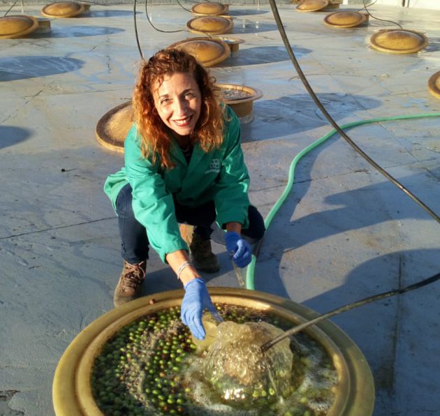 Nuria Yáñez, directora técnica de Almazaras de la Subbética Nuria Yáñez, directora técnica de Almazaras de la Subbética