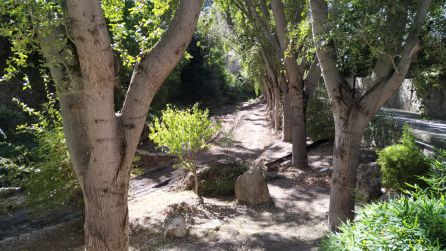 El curso del río es limpiado de sedimentos en cada dique tras evacuar el agua El curso del río es limpiado de sedimentos en cada dique tras evacuar el agua