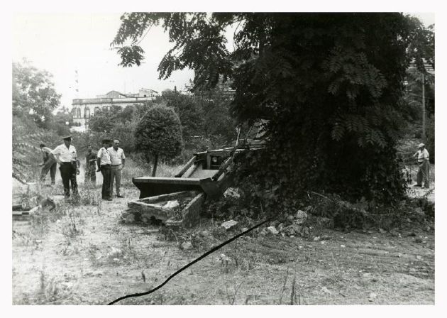 Operarios municipales buscando la serpiente Operarios municipales buscando la serpiente