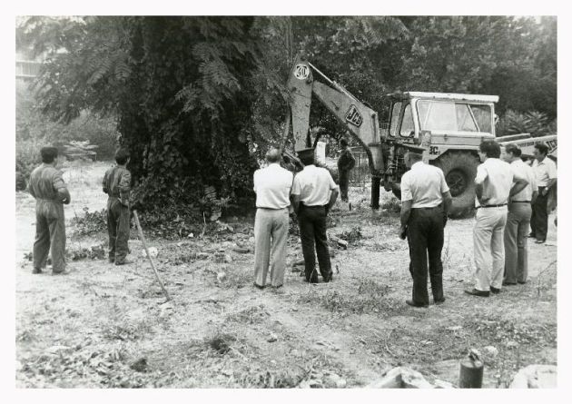 Operarios municipales buscando la serpiente en Los Patos. Operarios municipales buscando la serpiente en Los Patos.