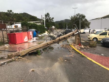 Han caido postes y árboles por la fuerza del viento Han caido postes y árboles por la fuerza del viento