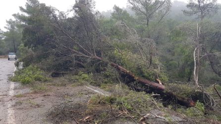 Tiempo: El balance de la 'gota fría' a su paso por Ibiza: un tornado, tres heridos y más de 30 actuaciones de los bomberos Tiempo: El balance de la 'gota fría' a su paso por Ibiza: un tornado, tres heridos y más de 30 actuaciones de los bomberos