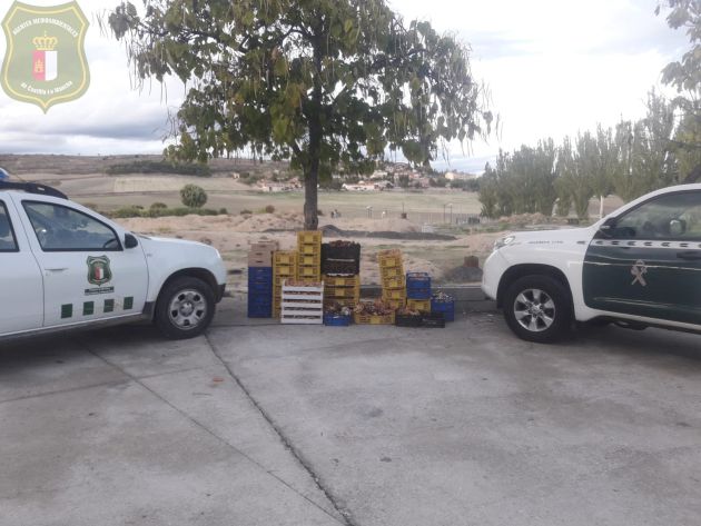 600 kilos de setas decomisadas por Agentes Medioambientales y Guardia Civil en la provincia de Guadalajara: Decomisados 600 kilos de setas recogidas de forma ilegal en Guadalajara 600 kilos de setas decomisadas por Agentes Medioambientales y Guardia Civil en la provincia de Guadalajara: Decomisados 600 kilos de setas recogidas de forma ilegal en Guadalajara