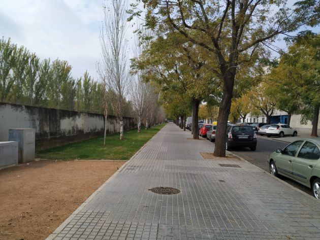 Vista de la calle Pedroche. A la izquierda de la imagen se encuentran los muros que separan la zona peatonal de las vías del tren. Vista de la calle Pedroche. A la izquierda de la imagen se encuentran los muros que separan la zona peatonal de las vías del tren.