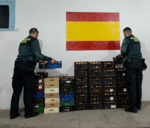 49 cajas de níscalos decomisados en Cantalojas 49 cajas de níscalos decomisados en Cantalojas