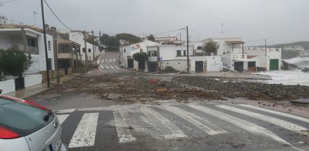 La borrasca Bernardo, que afecta a Menorca, provoca importants danys en arbres i obliga a tallar carrers a Maó La borrasca Bernardo, que afecta a Menorca, provoca importants danys en arbres i obliga a tallar carrers a Maó