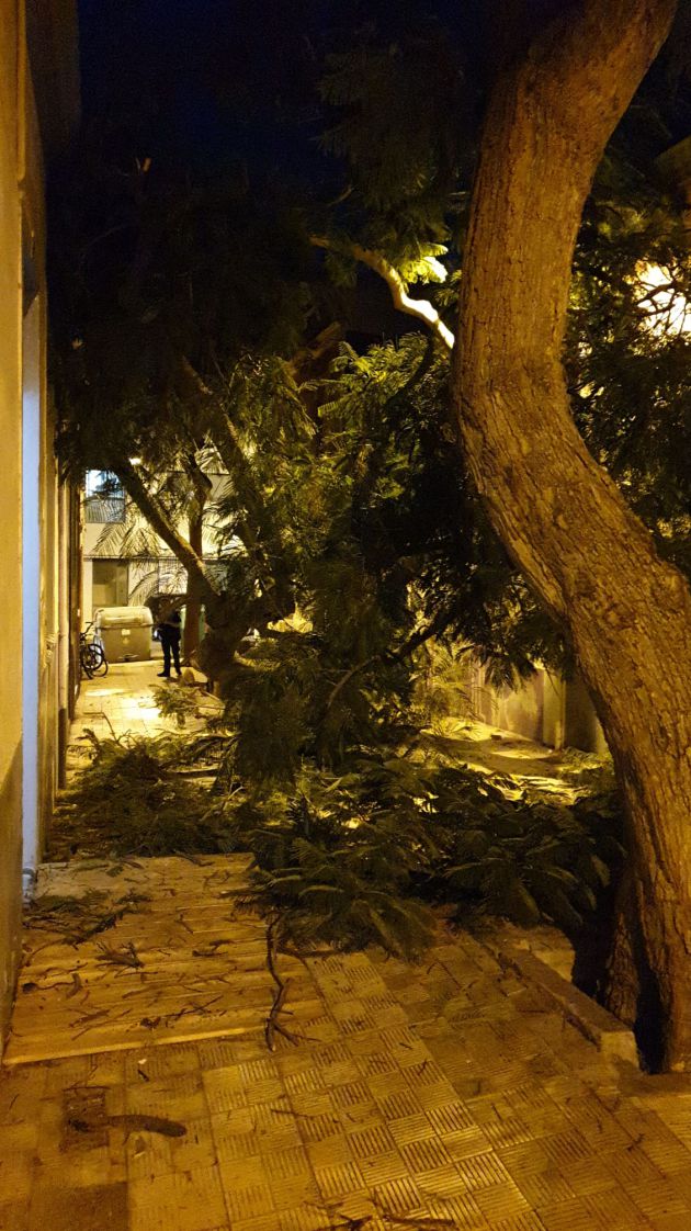 El fuerte viento provoca la caída de un árbol sobre dos viviendas en Santa Cruz El fuerte viento provoca la caída de un árbol sobre dos viviendas en Santa Cruz