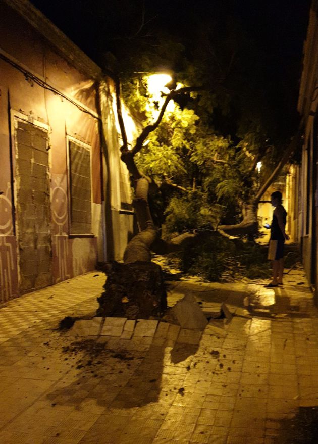 El fuerte viento provoca la caída de un árbol sobre dos viviendas en Santa Cruz El fuerte viento provoca la caída de un árbol sobre dos viviendas en Santa Cruz