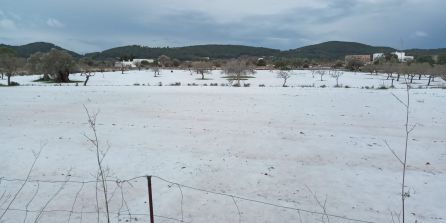 Meteorología: Granizada intensa en Santa Agnès Meteorología: Granizada intensa en Santa Agnès
