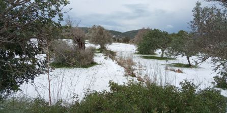 Meteorología: Granizada intensa en Santa Agnès Meteorología: Granizada intensa en Santa Agnès