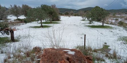 Meteorología: Granizada intensa en Santa Agnès Meteorología: Granizada intensa en Santa Agnès