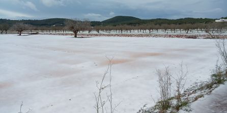 Meteorología: Granizada intensa en Santa Agnès Meteorología: Granizada intensa en Santa Agnès