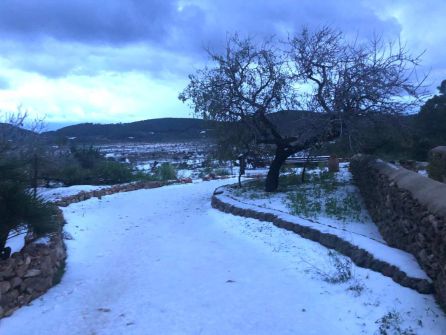 Meteorología: Granizada intensa en Santa Agnès Meteorología: Granizada intensa en Santa Agnès