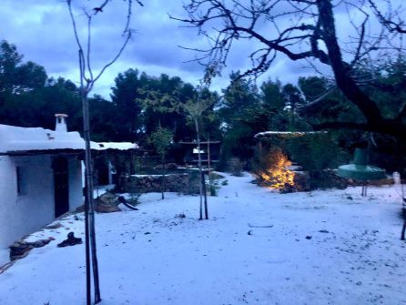 Meteorología: Granizada intensa en Santa Agnès Meteorología: Granizada intensa en Santa Agnès