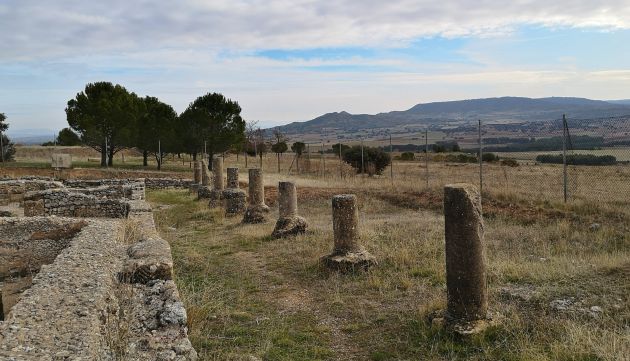 Las ruinas se encuentran en el municipio de Cañaveruelas. Las ruinas se encuentran en el municipio de Cañaveruelas.