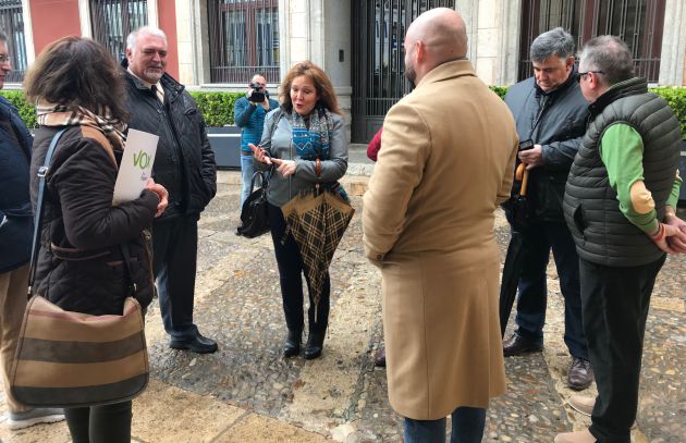 La formación de VOX Valdepeñas, tras la lectura de su manifiesto contra la violencia de género en el 25-N La formación de VOX Valdepeñas, tras la lectura de su manifiesto contra la violencia de género en el 25-N