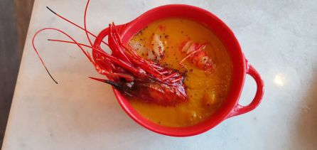 "Posiblemente, este sea el campo de fútbol más gastronómico del mundo" "Posiblemente, este sea el campo de fútbol más gastronómico del mundo"