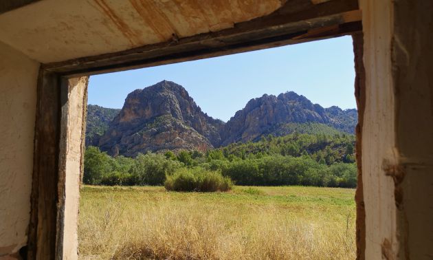 Vemos por aquí el paisaje típico de la Manchuela con olivos y campos de cultivo. Vemos por aquí el paisaje típico de la Manchuela con olivos y campos de cultivo.