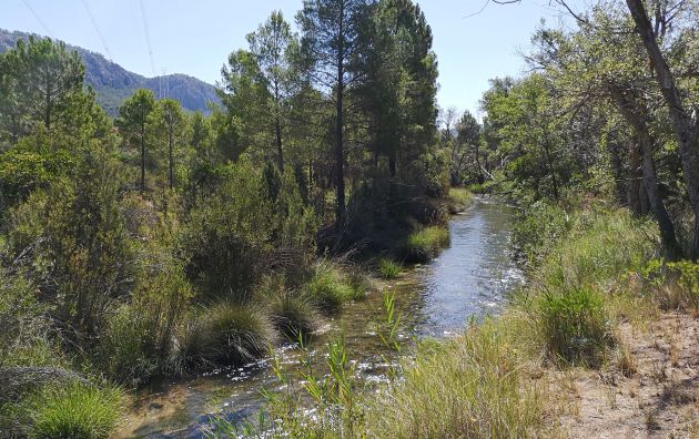 El sendero que recorremos discurre, en muchos tramos, junto al río Cabriel. El sendero que recorremos discurre, en muchos tramos, junto al río Cabriel.