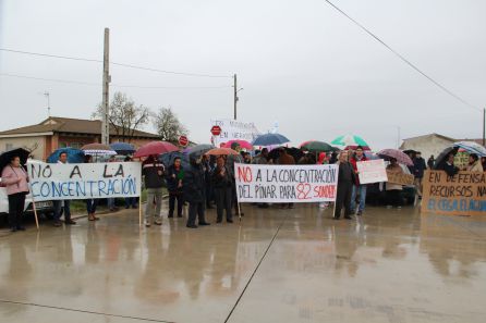 Vecinos de Gomezserracín y la comarca se manifiestan contra la concentración de pinares Vecinos de Gomezserracín y la comarca se manifiestan contra la concentración de pinares
