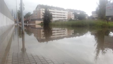 Camí del Llavador. Camí del Llavador.