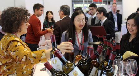 Alemania, Francia o Italia, destinos principales de nuestros vinos Alemania, Francia o Italia, destinos principales de nuestros vinos