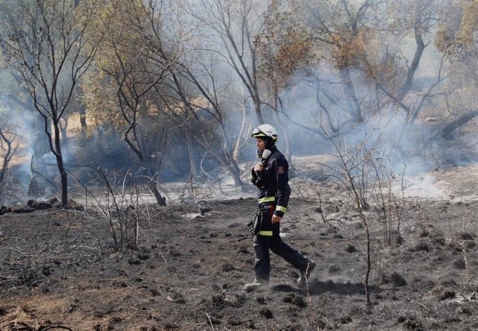 7 de julio. Los incendios de Cadalso y Cenicientos durante el verano de 2019 han sido los más devastadores del siglo XXI en la Comunidad de Madrid. 7 de julio. Los incendios de Cadalso y Cenicientos durante el verano de 2019 han sido los más devastadores del siglo XXI en la Comunidad de Madrid.