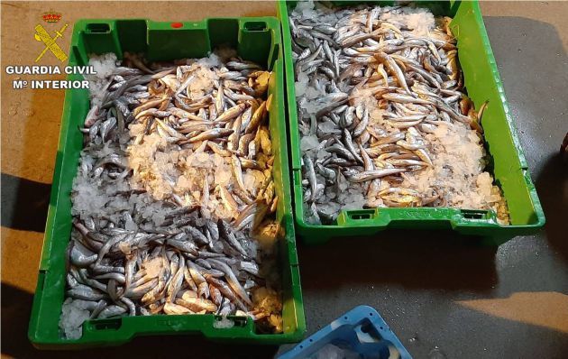 Intervienen más de 19.000 kilos de alimentos con irregularidades de etiquetado Intervienen más de 19.000 kilos de alimentos con irregularidades de etiquetado