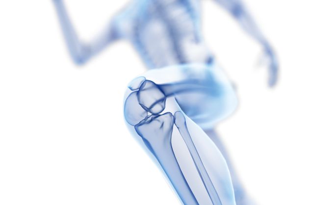 El cansancio y la fatiga muscular, principales factores de riesgo en la práctica del esquí El cansancio y la fatiga muscular, principales factores de riesgo en la práctica del esquí