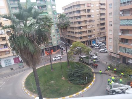 Operarios retiran un gran árbol caído por el viento Operarios retiran un gran árbol caído por el viento