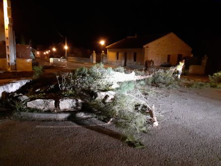 El fuerte viento derribó varios árboles en Valdeprados El fuerte viento derribó varios árboles en Valdeprados