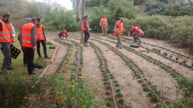El Ayuntamiento de València oferta cursos de jardinería, arte floral y medio ambiente El Ayuntamiento de València oferta cursos de jardinería, arte floral y medio ambiente