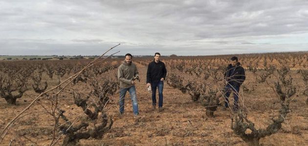 Bodegas Ponce tiene los viñedos en Villanueva de la Jara e Iniesta (Cuenca). Bodegas Ponce tiene los viñedos en Villanueva de la Jara e Iniesta (Cuenca).